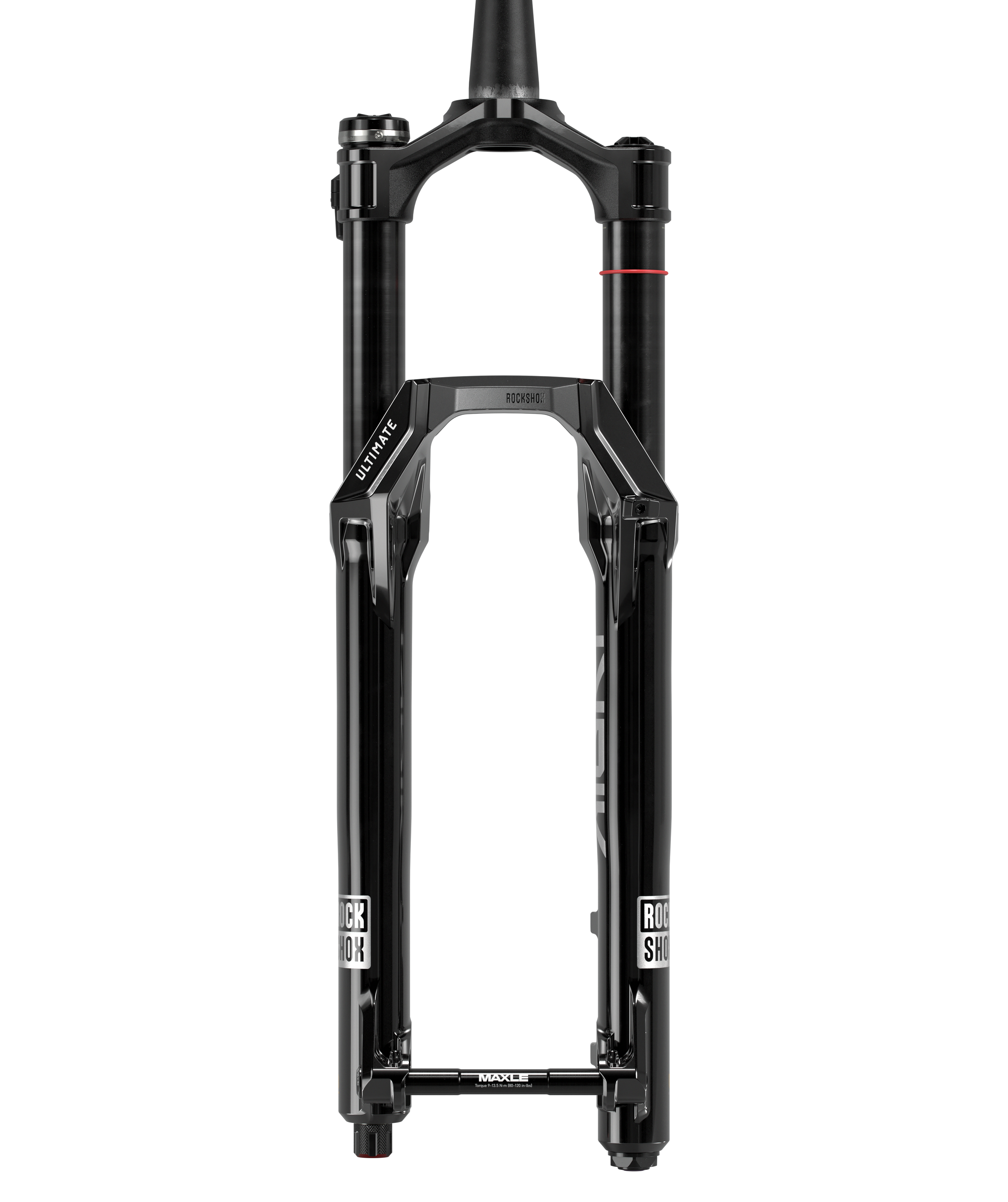 LYRIK ULTIMATE FLIGHT ATTENDANT 29 BOOST15X110 160MM GLOSS BLACK TPR 44OFFSET C5/R55 E1 - miniatura 3