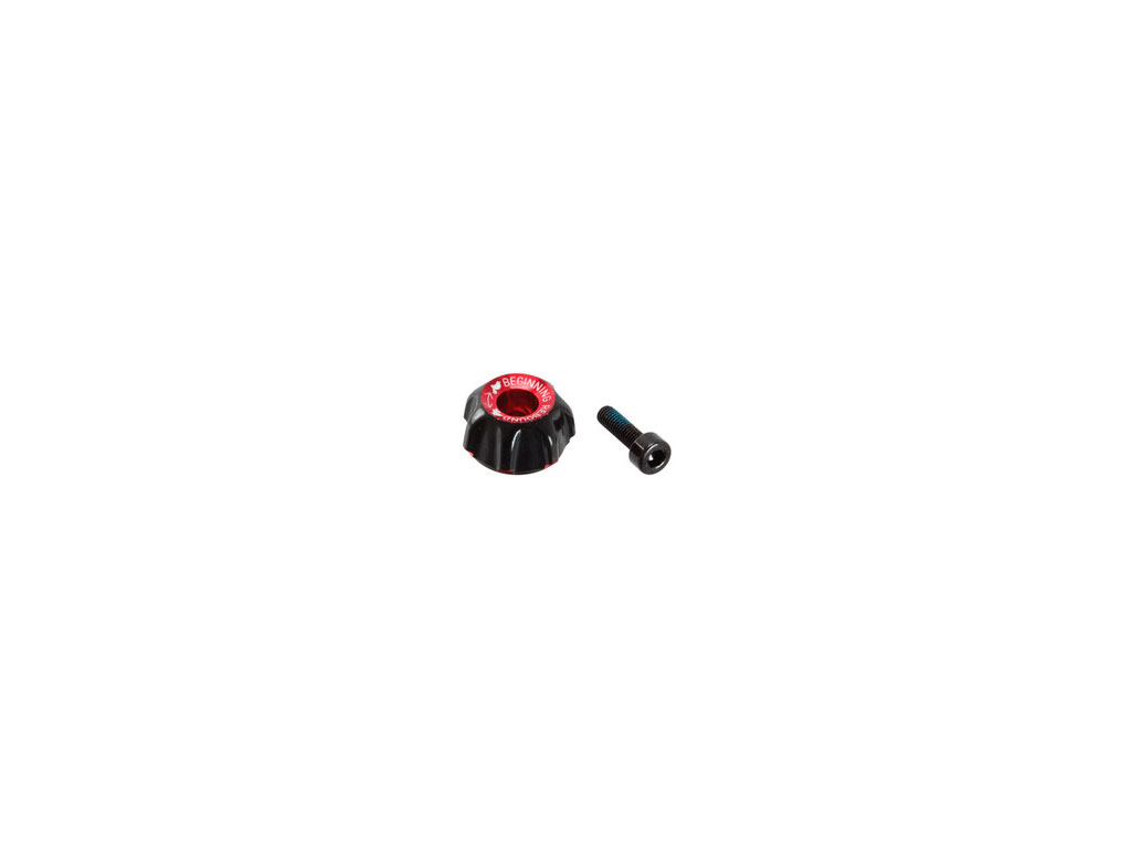 RS REC DIAL/REGUL. REBOTE INICIO VIVID R2C/AIR 14-17